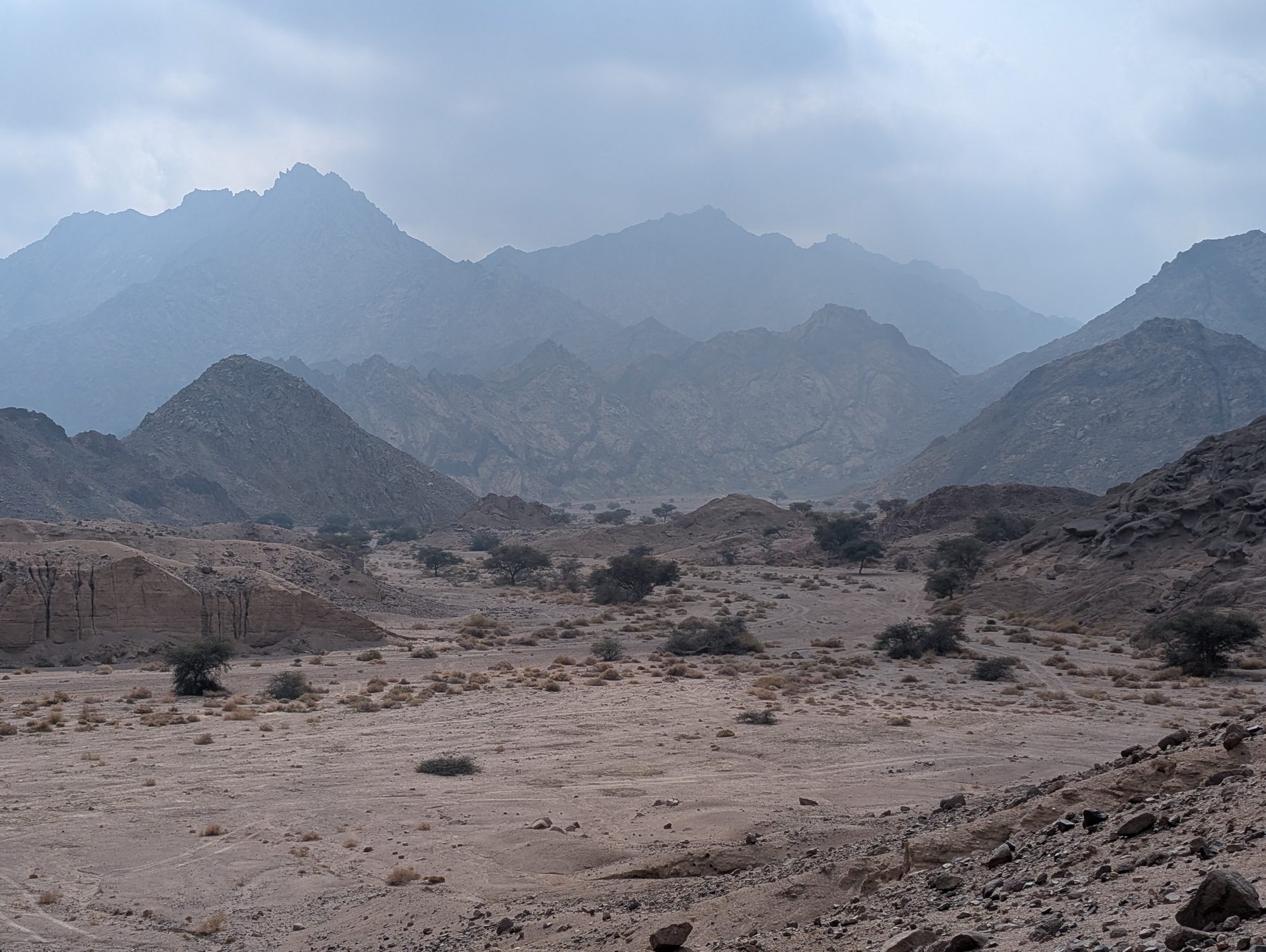 Misty mountain wadi