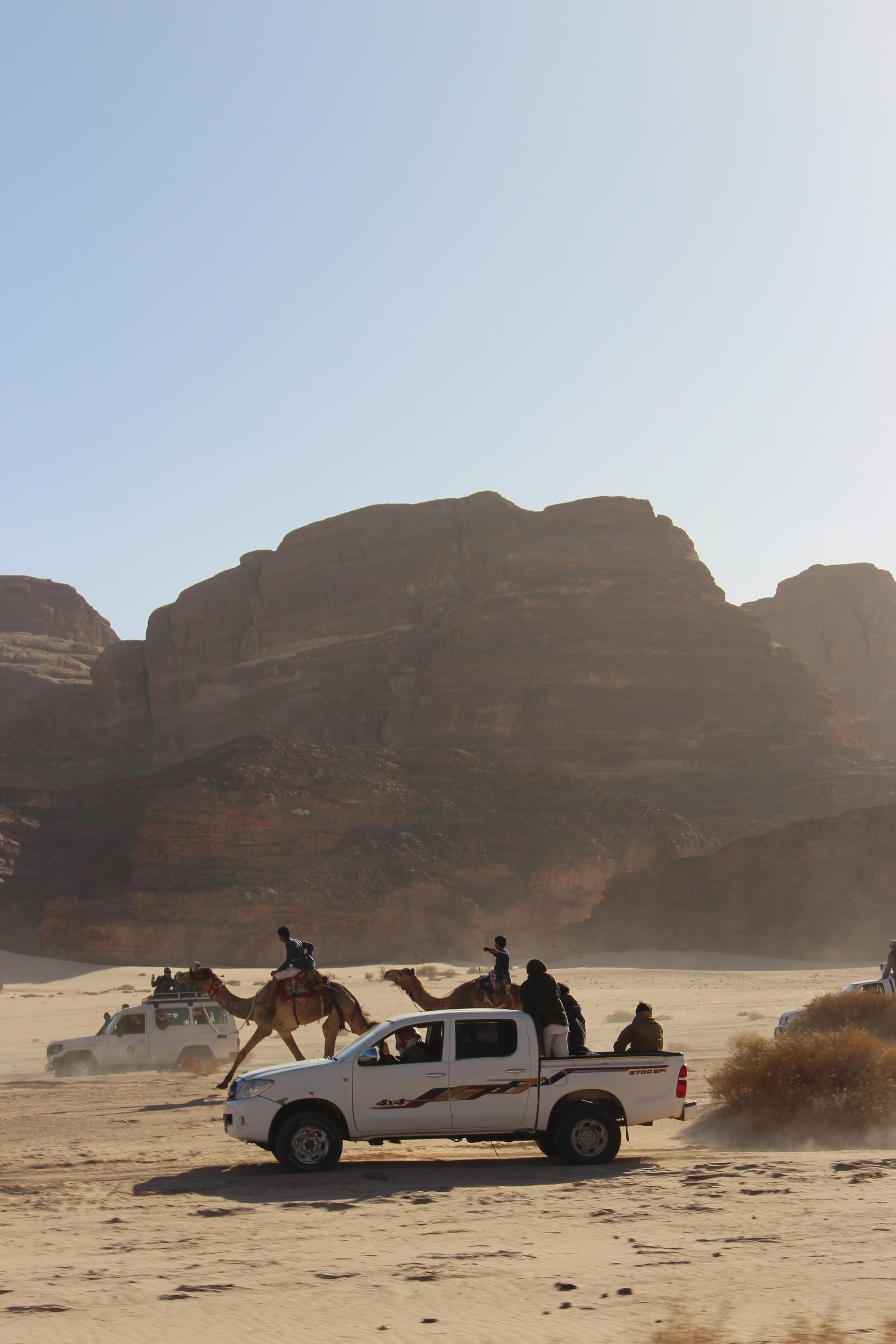 Camels and trucks racing through the desert