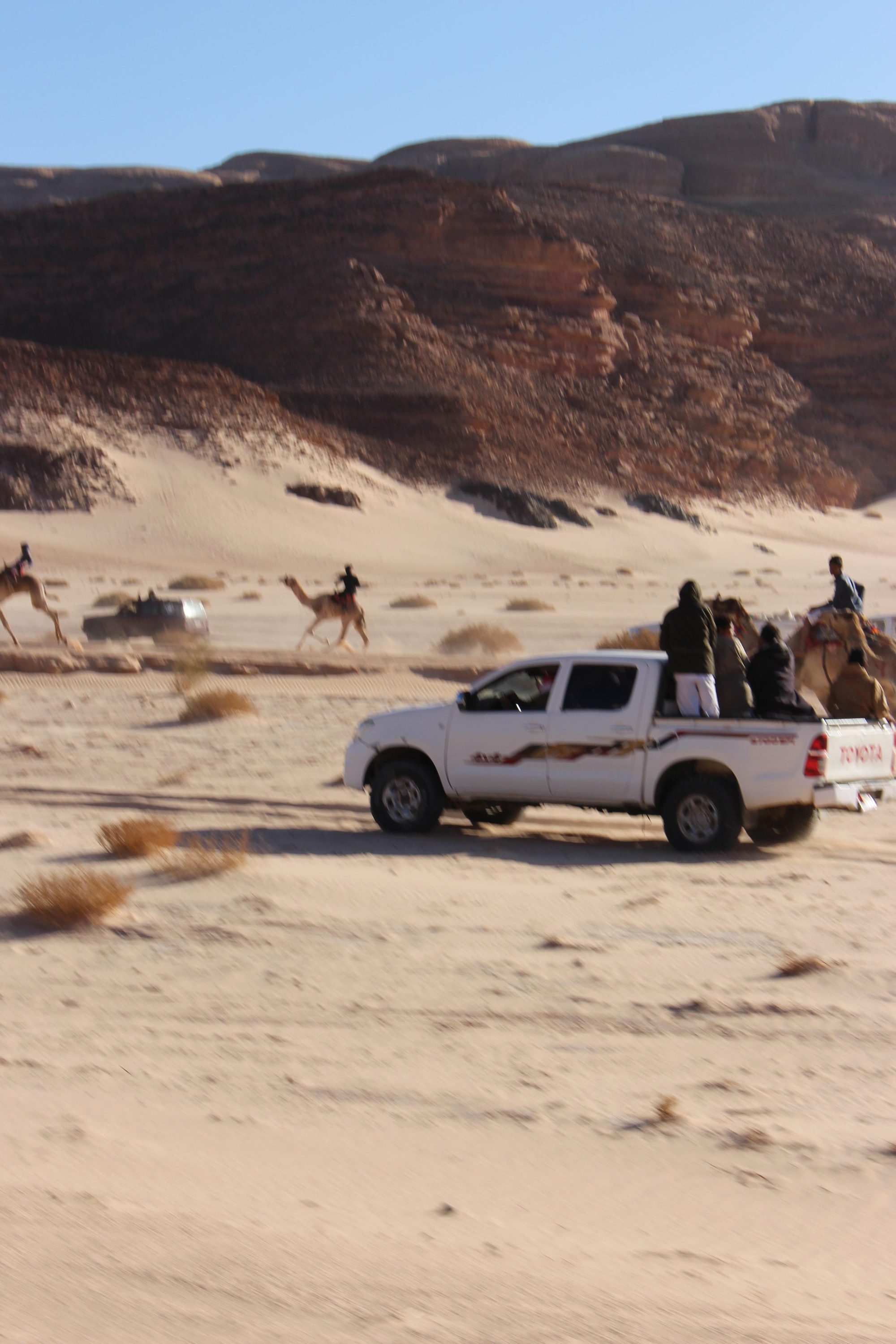 Trucks and camels racing