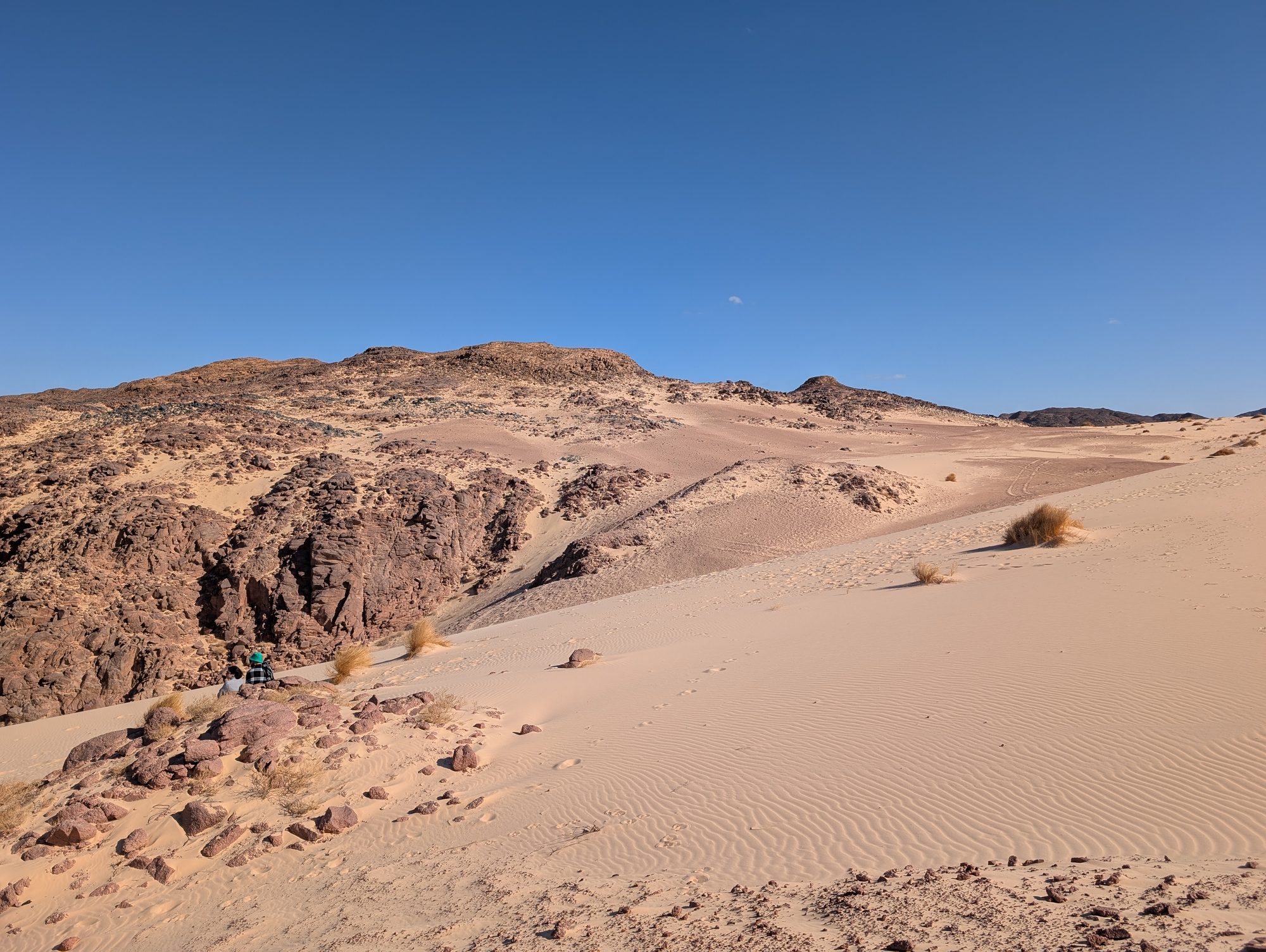 Dune and rock landscape